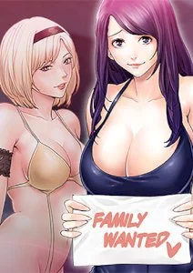 The Runaway Family cover
