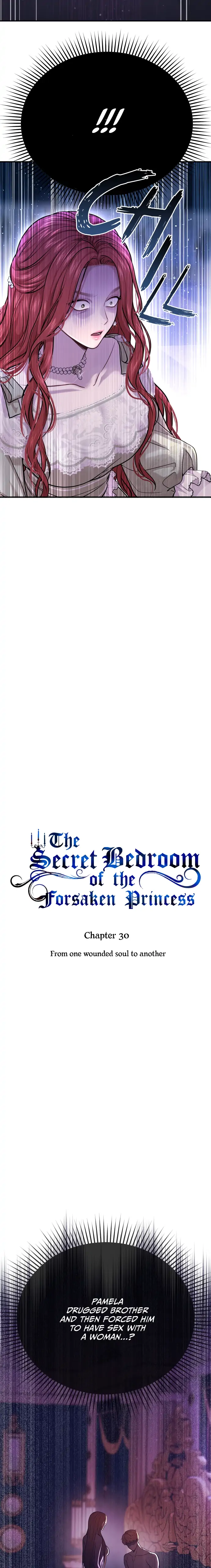 The Secret Bedroom of the Forsaken Princess chapter 30 page 3
