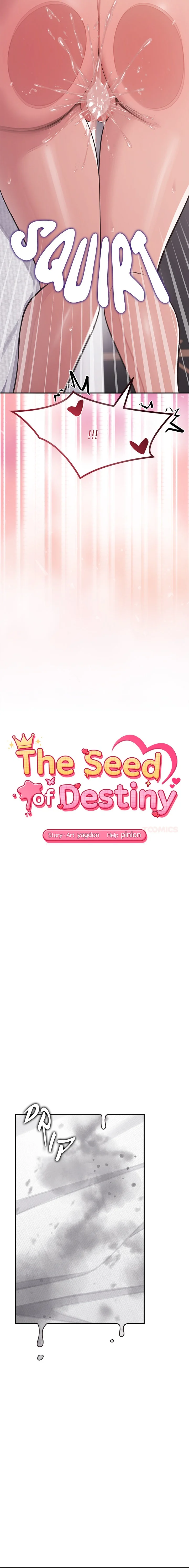 The Seed of Destiny chapter 17 page 3
