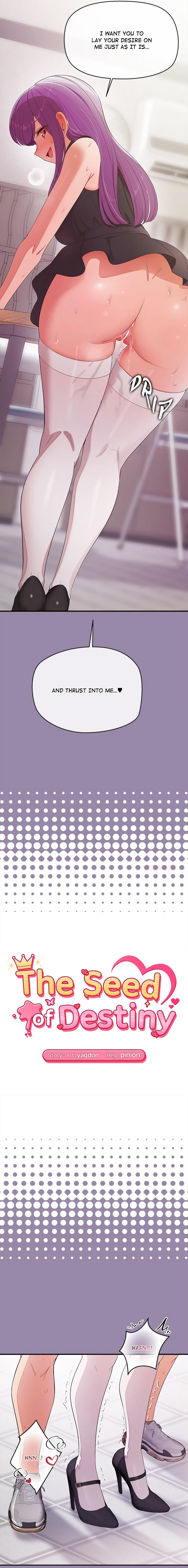 The Seed of Destiny chapter 24 page 3