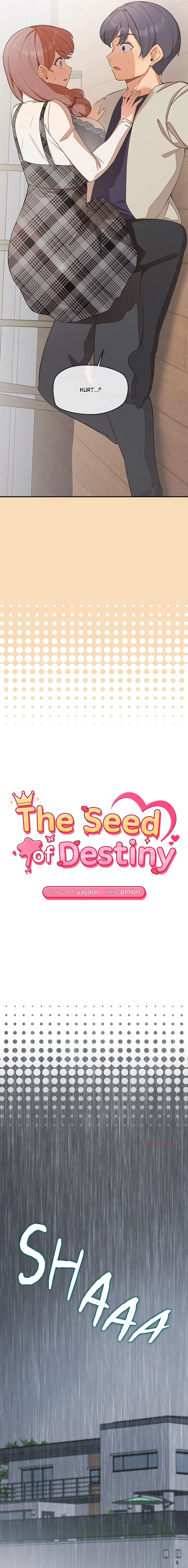 The Seed of Destiny chapter 27 page 3
