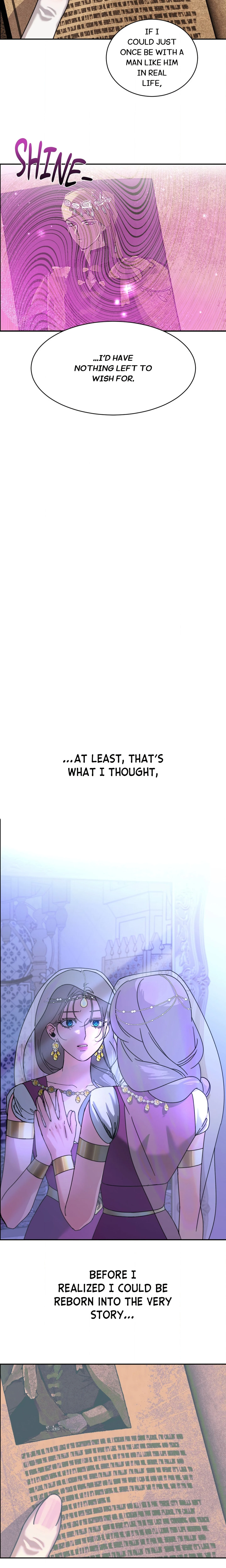The Sultan’s Prize chapter 1 page 11