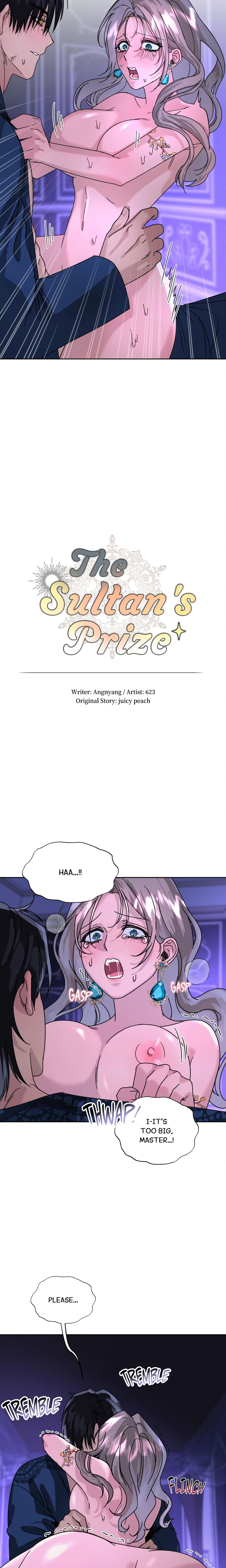 The Sultan’s Prize chapter 4 page 4