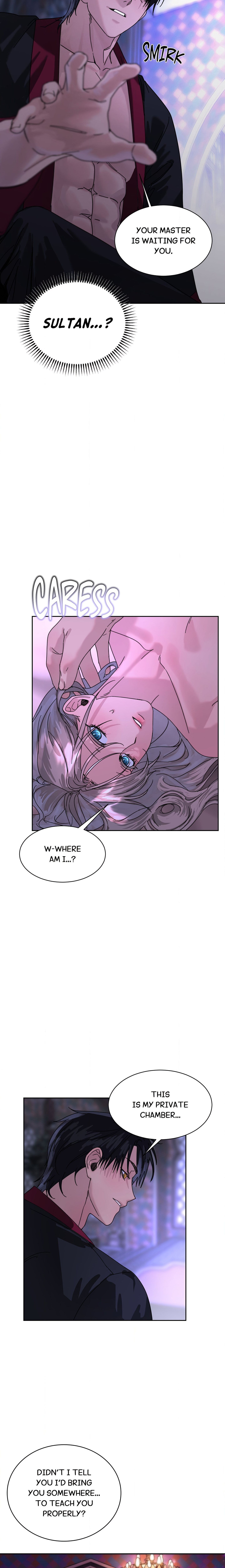 The Sultan’s Prize chapter 5 page 12