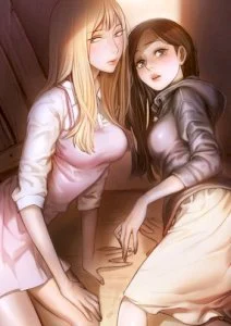 The Two Newcomers cover